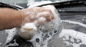 Les produits d’entretien à privilégier pour laver sa voiture