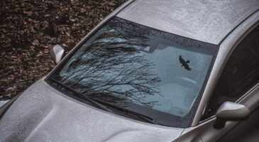 pare-brise-quand-la-reparation-fait-place-au-remplacement-abusif
