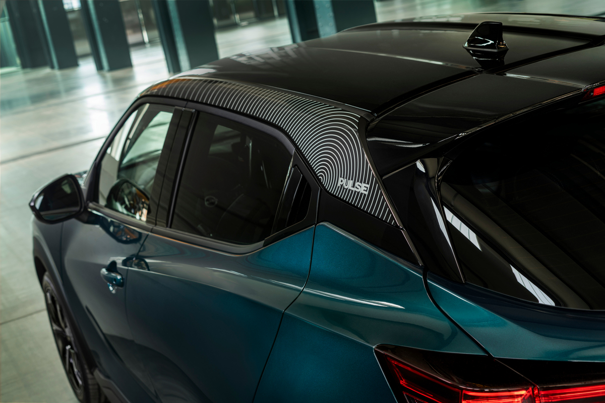 Nissan JUKE Pulse – Roof details